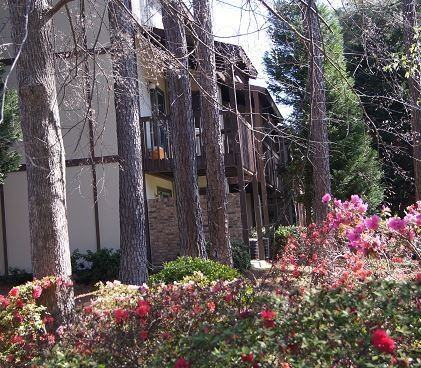 Cooper Creek Village - Photo 6 of 11