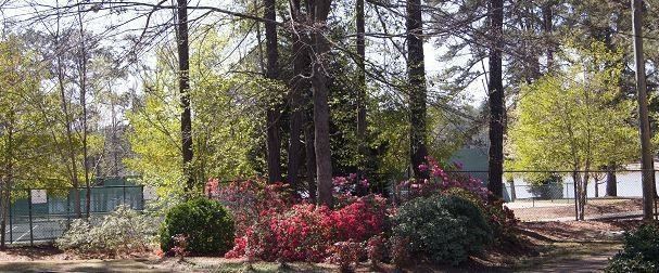 Cooper Creek Village - Photo 7 of 11