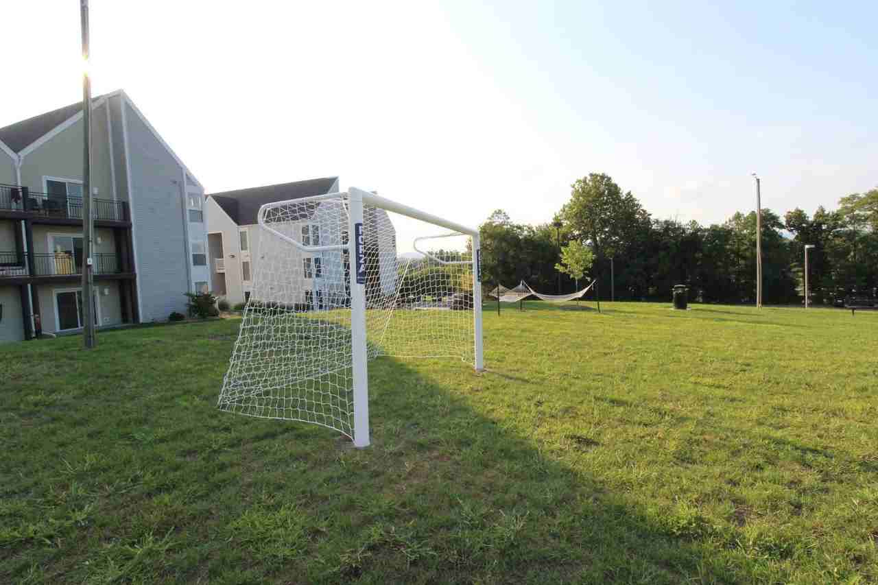 1318 Bradley Dr - Photo 6 of 17