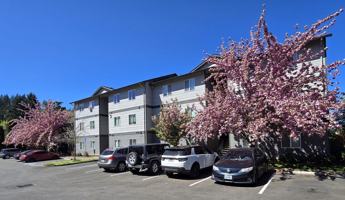 featured image of 231 Pioneer Dr