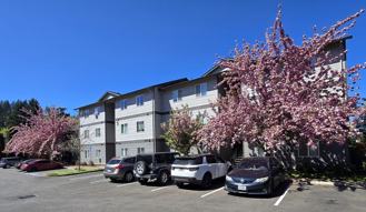 Pioneer Village Apartments - Photo 1 of 1