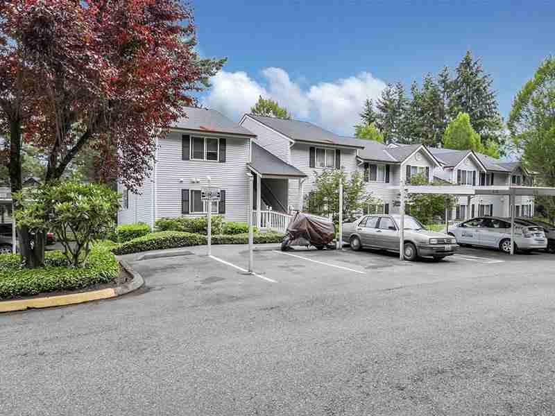 15805 40th Pl S - Photo 4 of 50