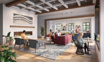 featured image of 41545 Ivy Street