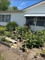 featured image of 424 Lincoln Ave