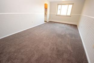 222 Melwood Ave #307 - Photo 1 of 1