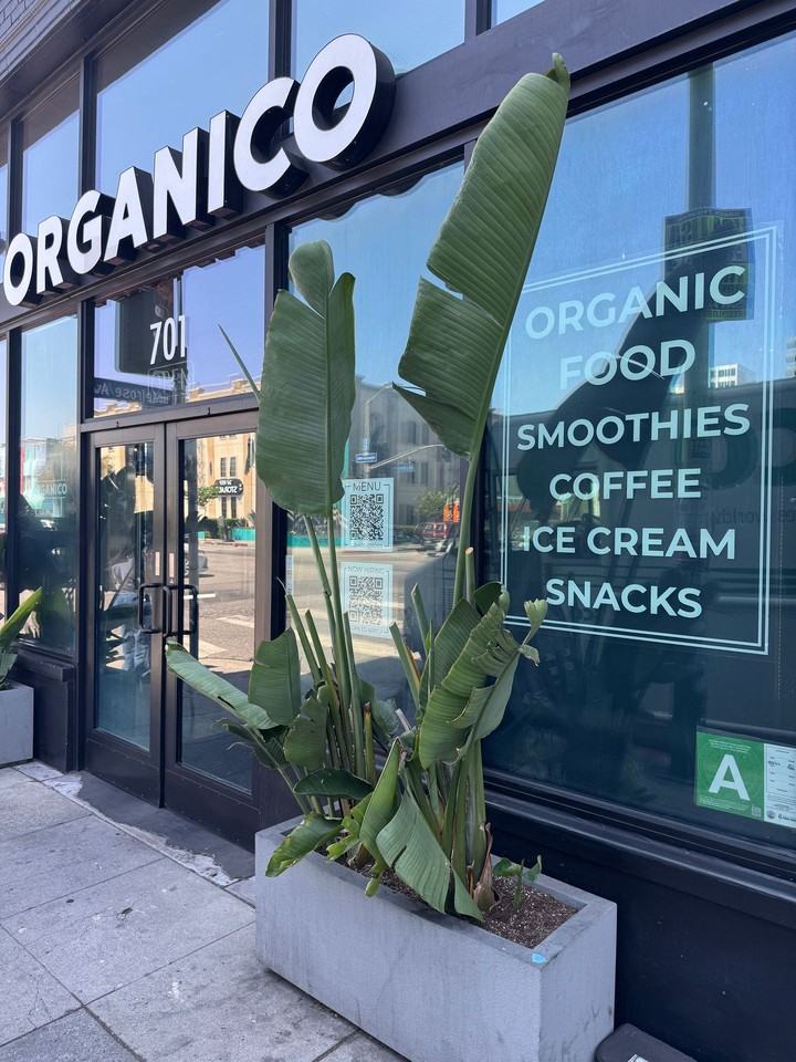 DCDH MONROE - Photo 6 of 11