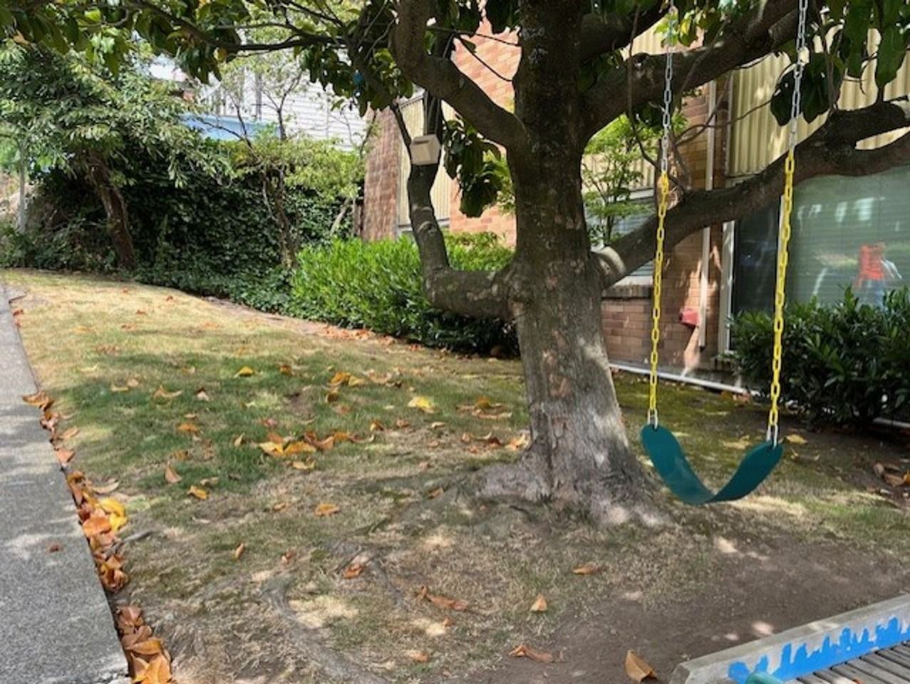 Twin Birches - Photo 4 of 10