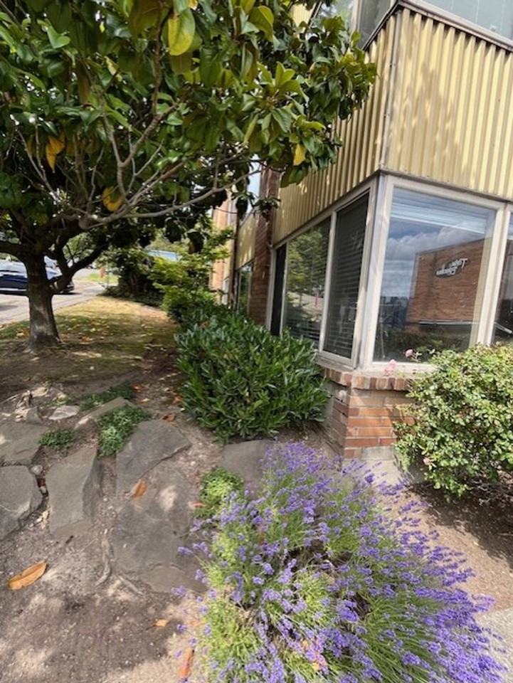 Twin Birches - Photo 5 of 10