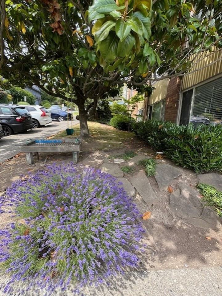 Twin Birches - Photo 6 of 10