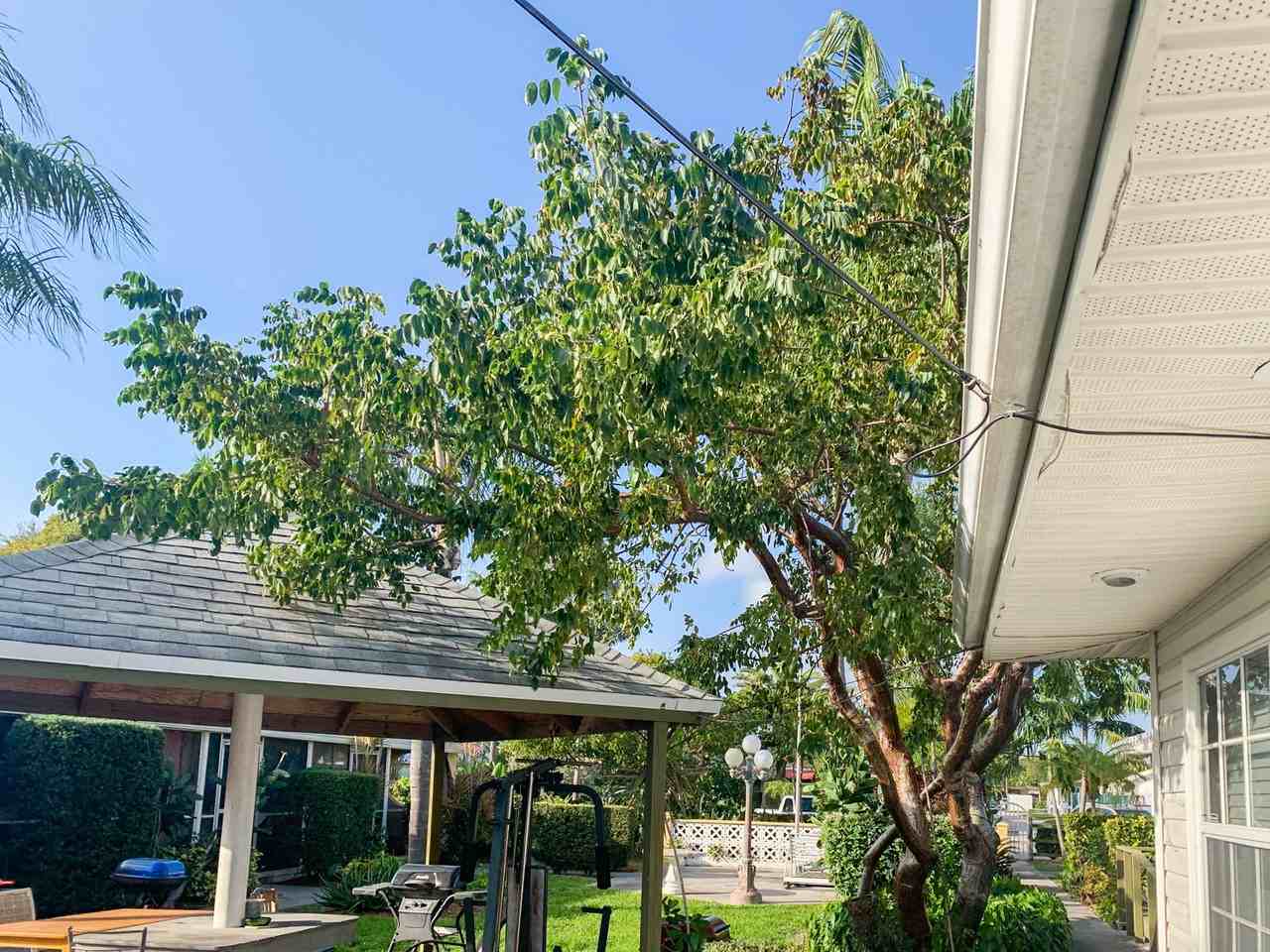 1816 Taft Street - Photo 5 of 22