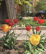 Brockton Avenue #7AC - Photo 1 of 1