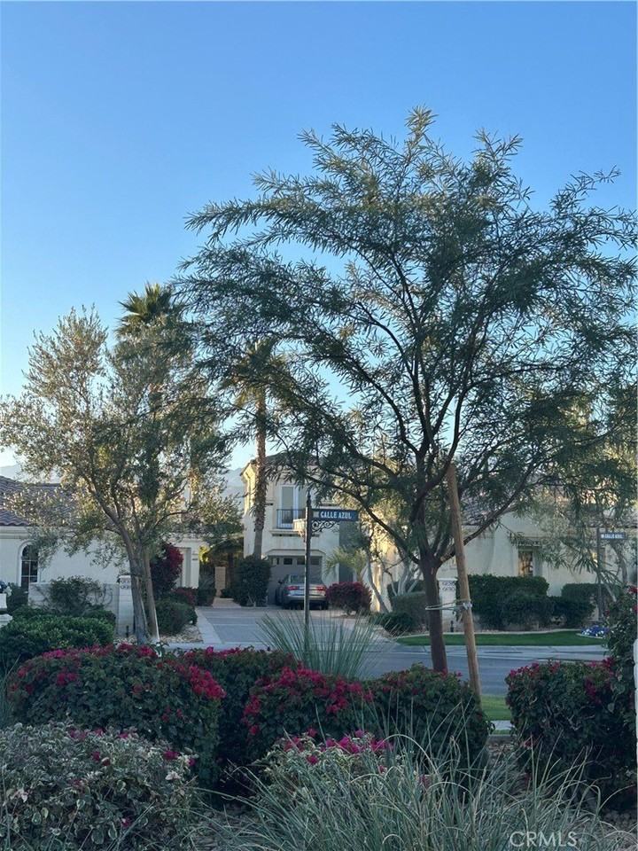 57420 Via Vis - Photo 3 of 15