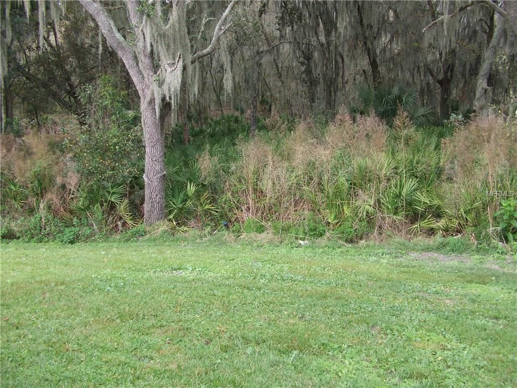 15702 Fishhawk Falls Dr #NONE - Photo 3 of 21