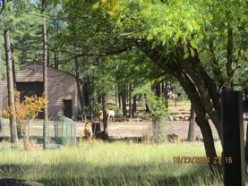 3850 W White Mountain Blvd #NA - Photo 1 of 1