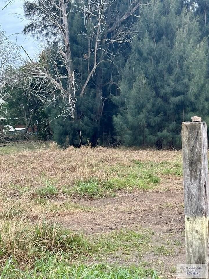 0 MILITARY HWY. - Photo 6 of 7