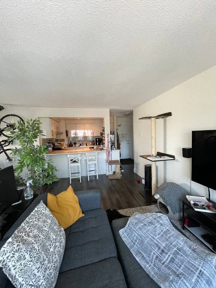 339 East 7th Avenue #303 - Photo 4 of 10