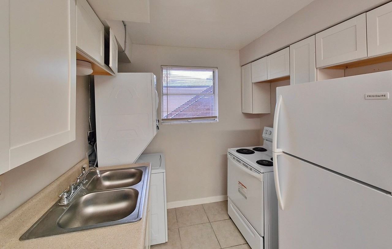 **"Live Among the Palms: Your Arlington Oasis Awaits!"** - Photo 4 of 4