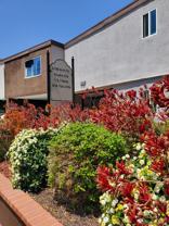 Arch Sunset Apartments - Photo 1 of 1