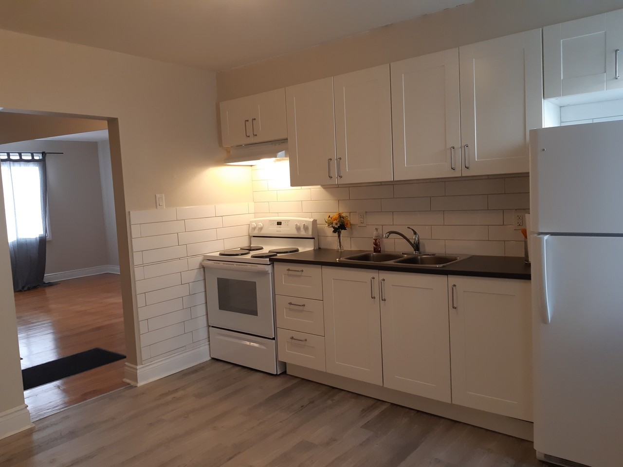 125 St. Denis Street---- - Photo 2 of 6