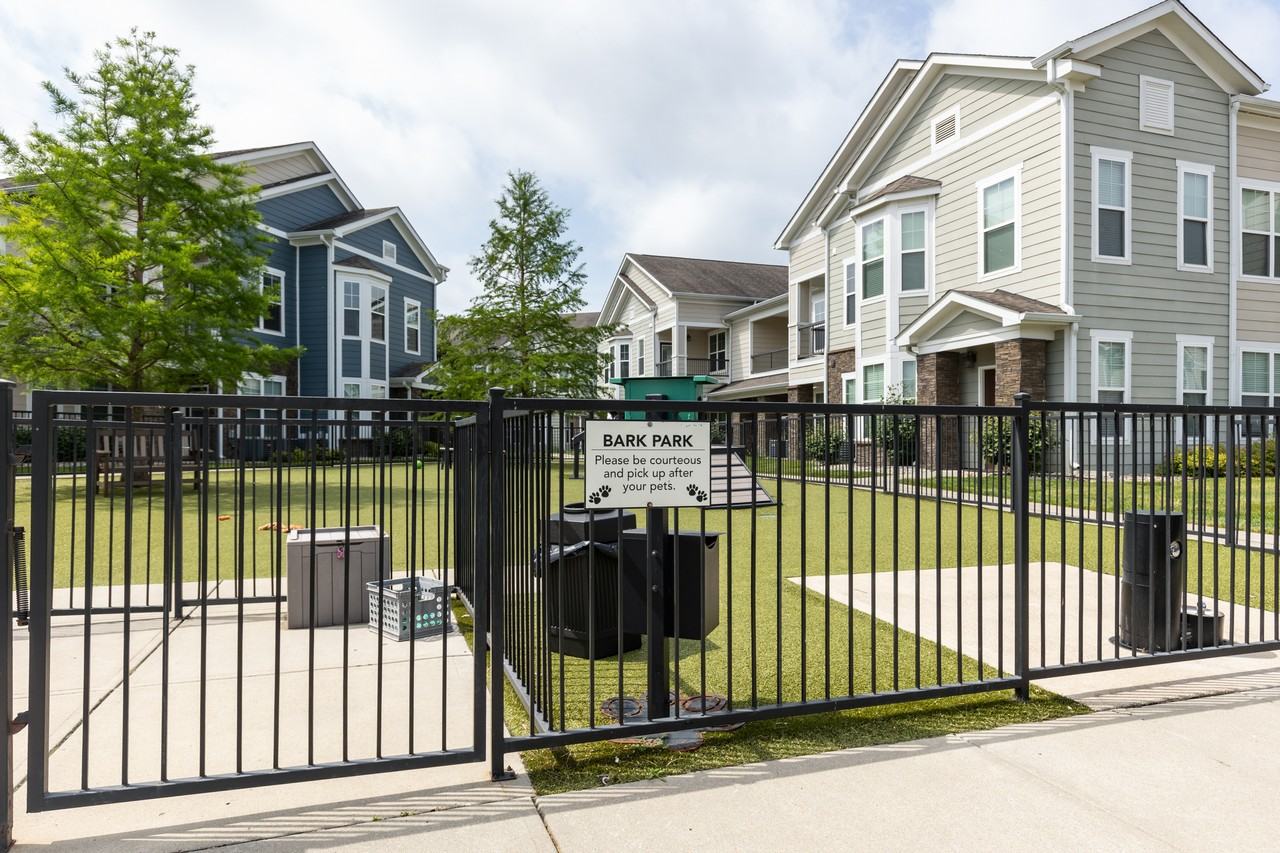 Alinium at Zionsville - Photo 7 of 111