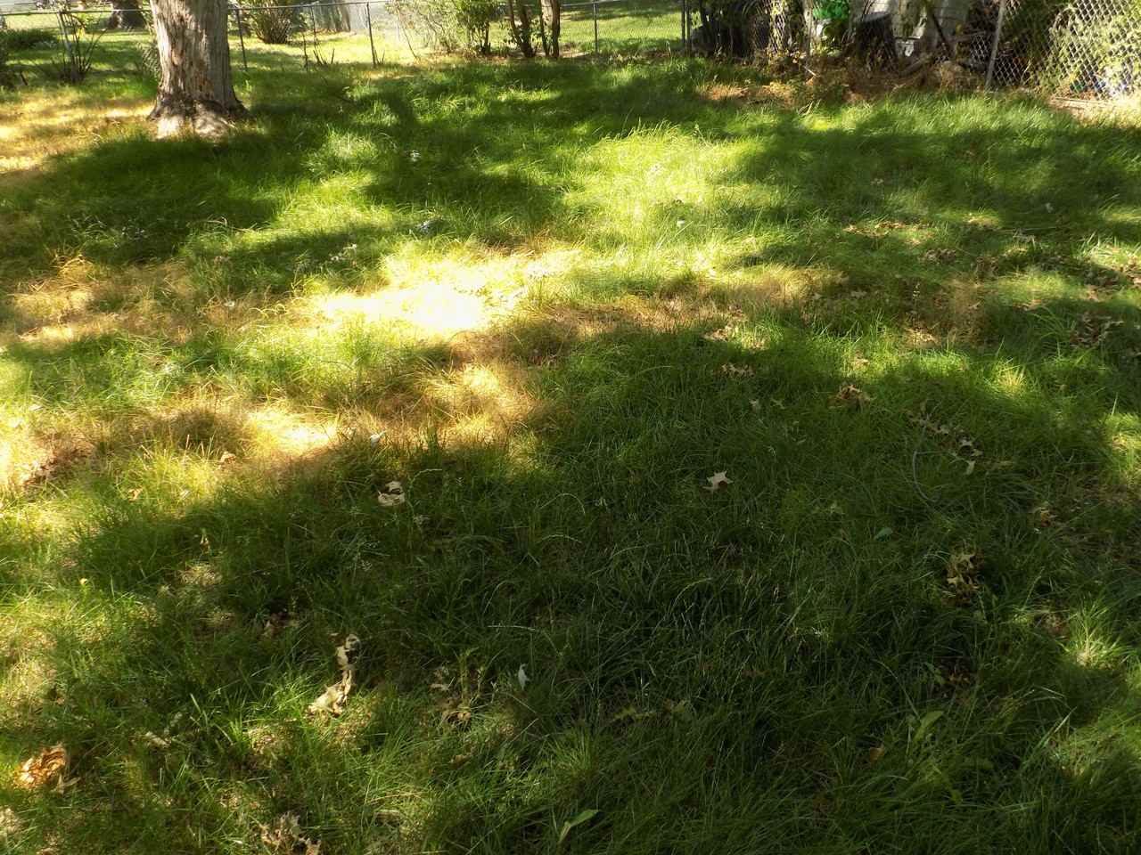 6012 Fleetwood Dr - Photo 3 of 9