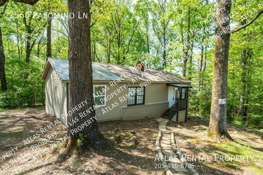 2560 Palomino Ln - Photo 5 of 19