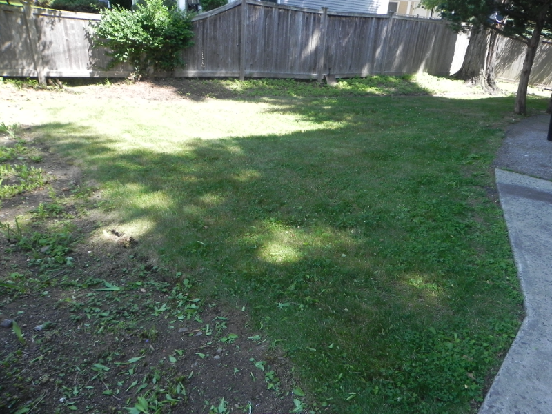 2 1/2 Jefferson St #1 - Photo 2 of 8