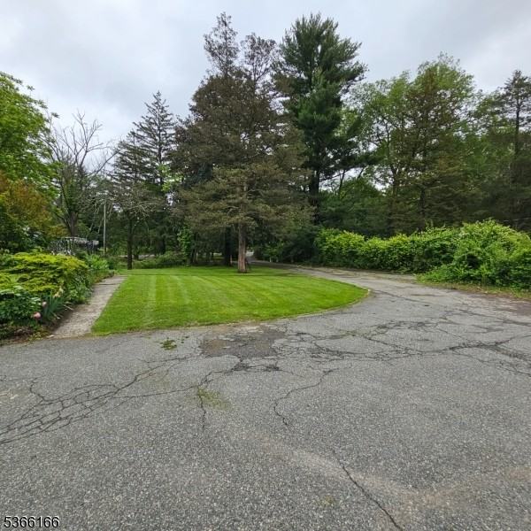 828 Tabor Rd - Photo 3 of 16