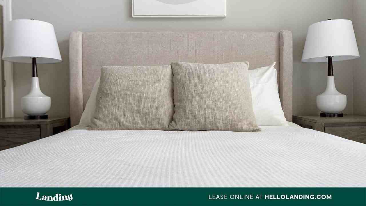 16346 Lydia Hill Dr - Photo 3 of 50