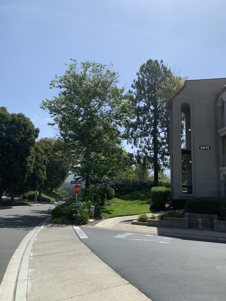 4015 Calle Sonora Oeste #3E - Photo 3 of 26