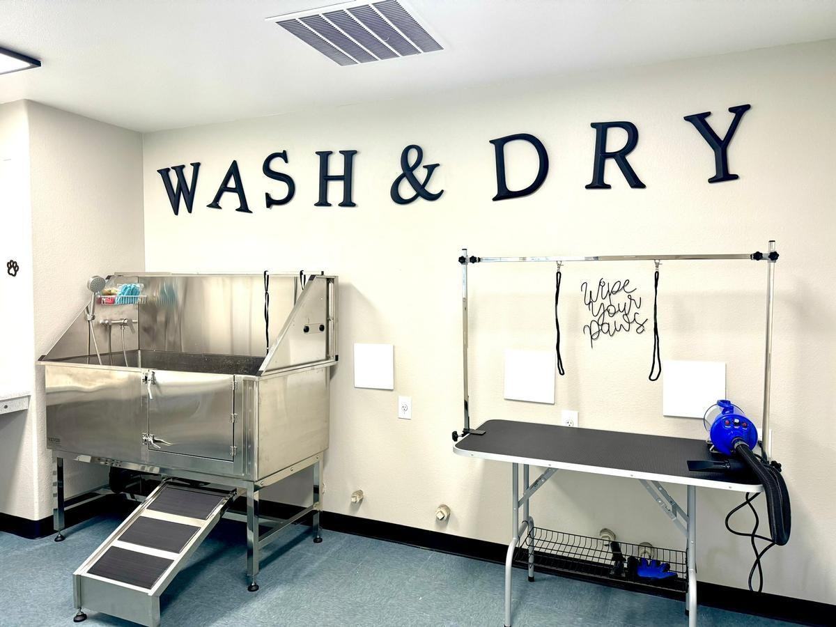 5155 N Fresno St - Photo 7 of 28