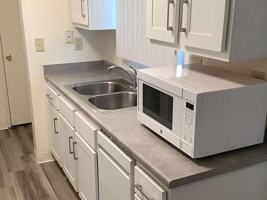 featured image of 1650 Park Ln