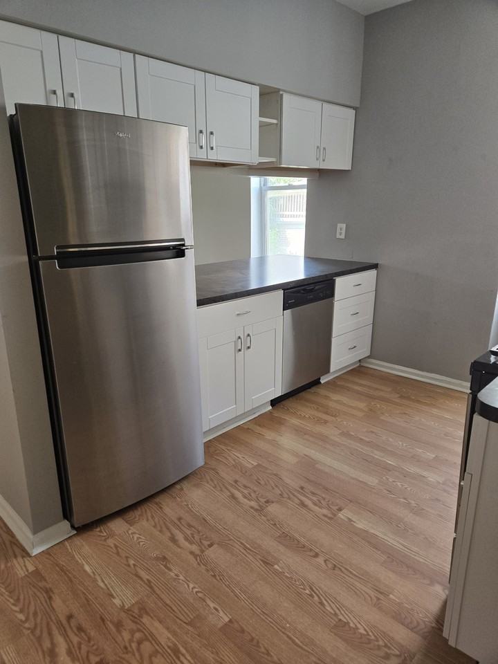 514 West Queen Lane - Photo 7 of 18