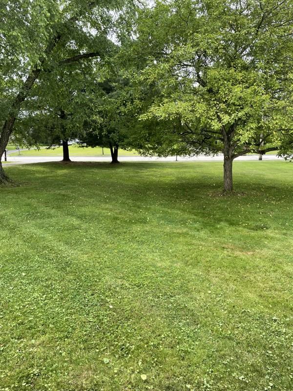 38075 Bainbridge Rd - Photo 2 of 20