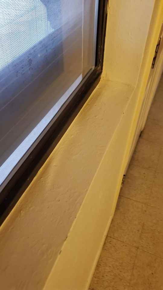 1309 Kilmer St - Photo 6 of 16