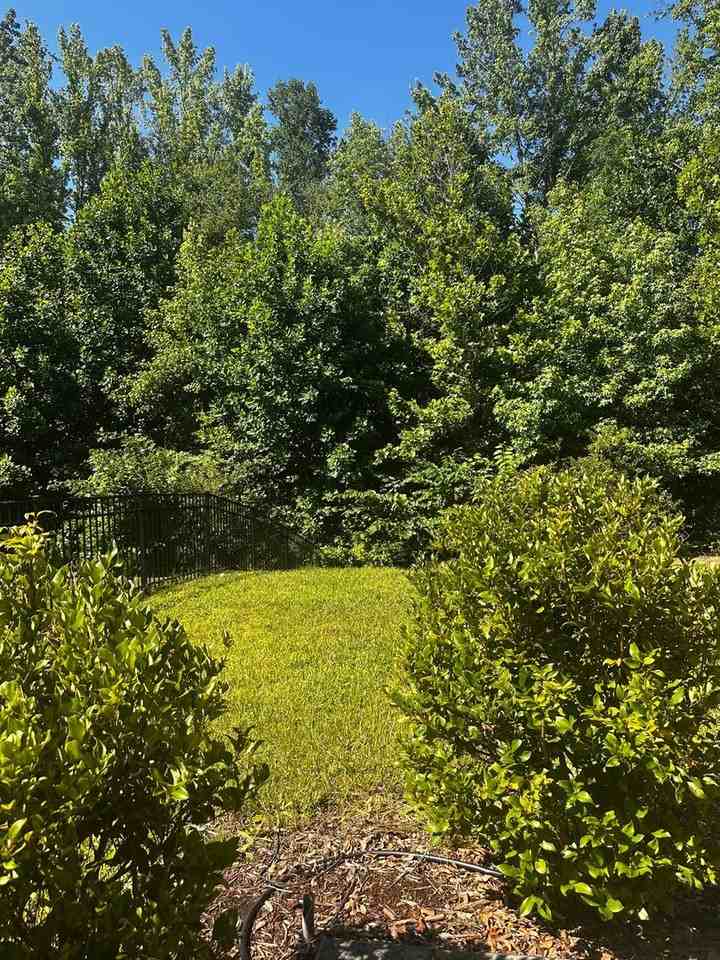 3851 Longmore Ln - Photo 3 of 22