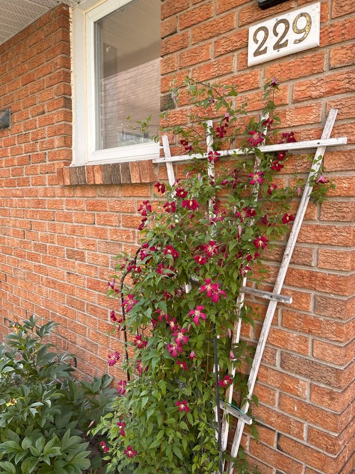 3310 Southgate Road #229 - Photo 4 of 11