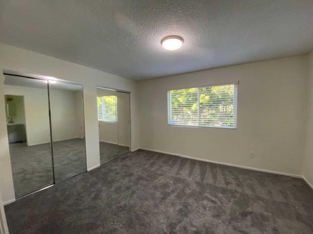 Welcome home to 233/235 Carmel Avenue, Marina! - Photo 7 of 14