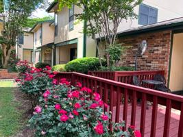 featured image of 117 W William Cannon Dr