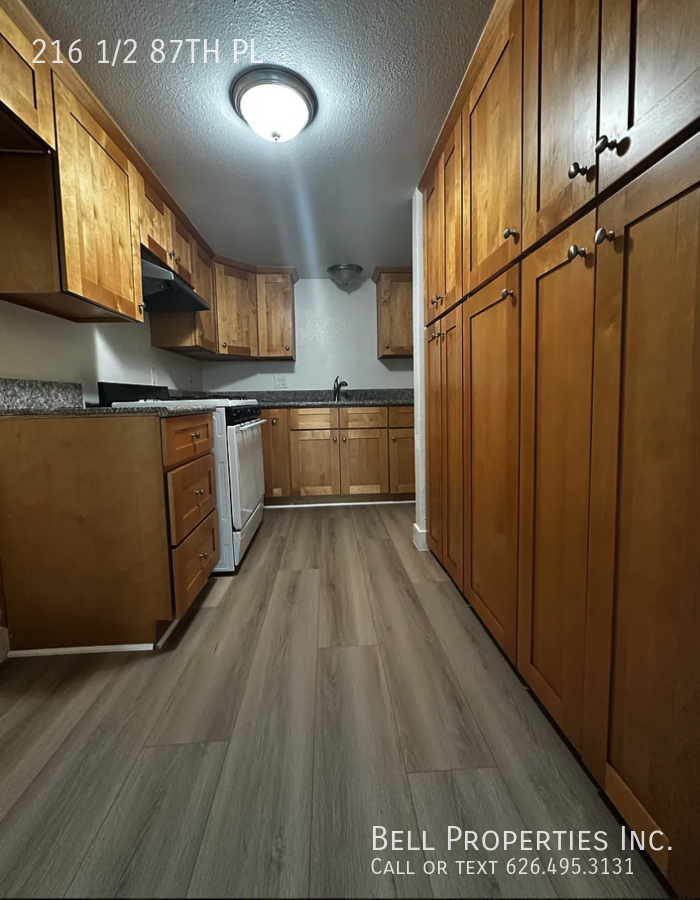 216 1/2 E 87th Pl - Photo 3 of 16