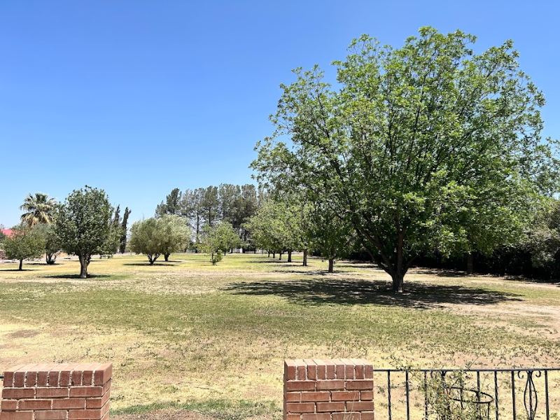 2150 S 1st Ave - Photo 3 of 32