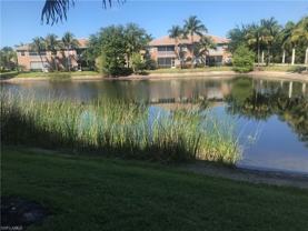9601 Spanish Moss Way #3615 - Photo 1 of 1