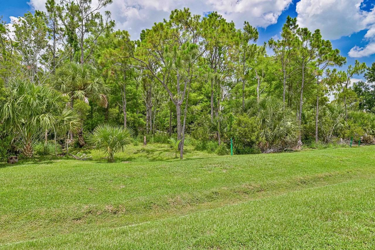 13679 Martone Ct - Photo 6 of 27