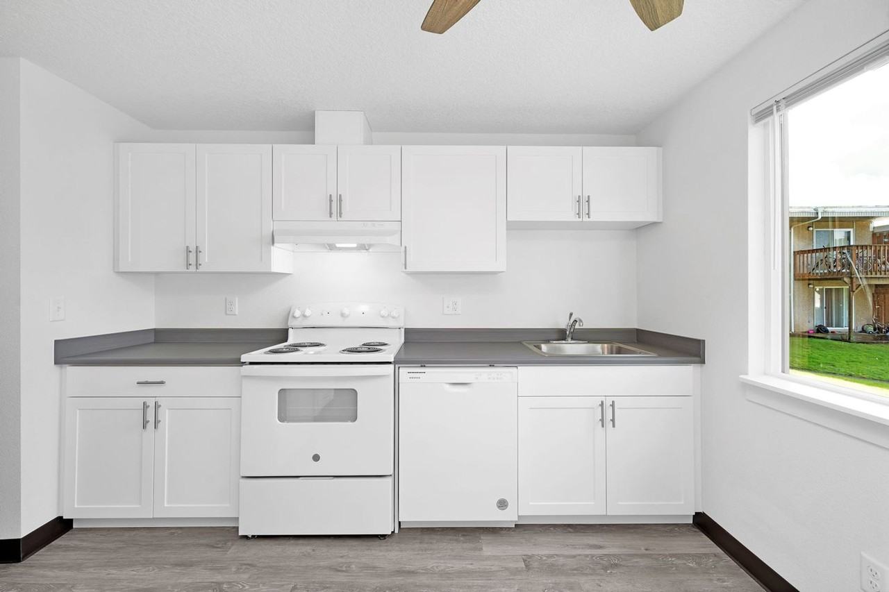 Driftwood Terrace - Photo 6 of 14