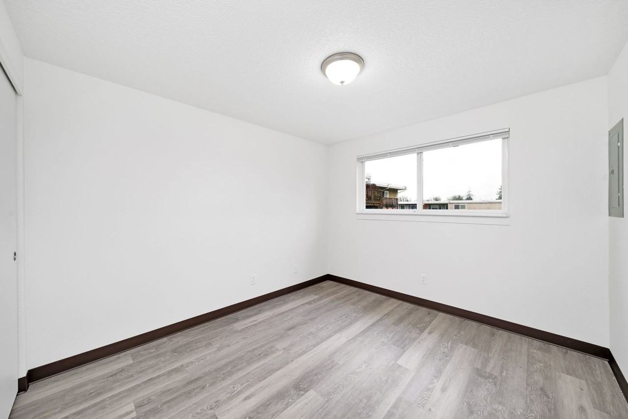 Driftwood Terrace - Photo 7 of 14