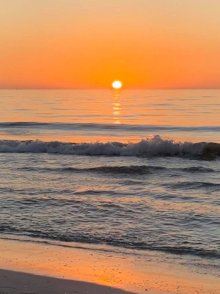 4900 Brittany Drive South #305