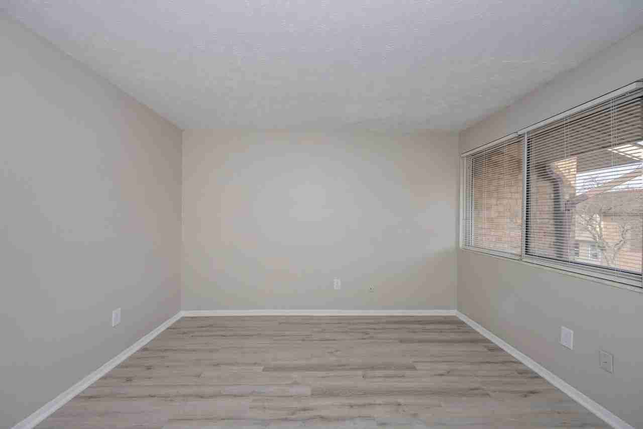 New Bridge - Promo - Photo 4 of 50