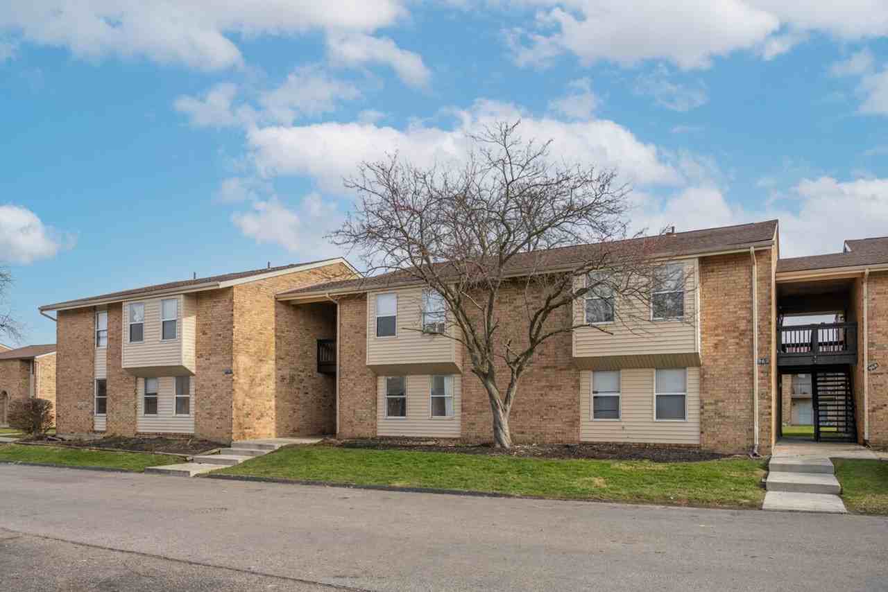 New Bridge - Promo - Photo 5 of 50