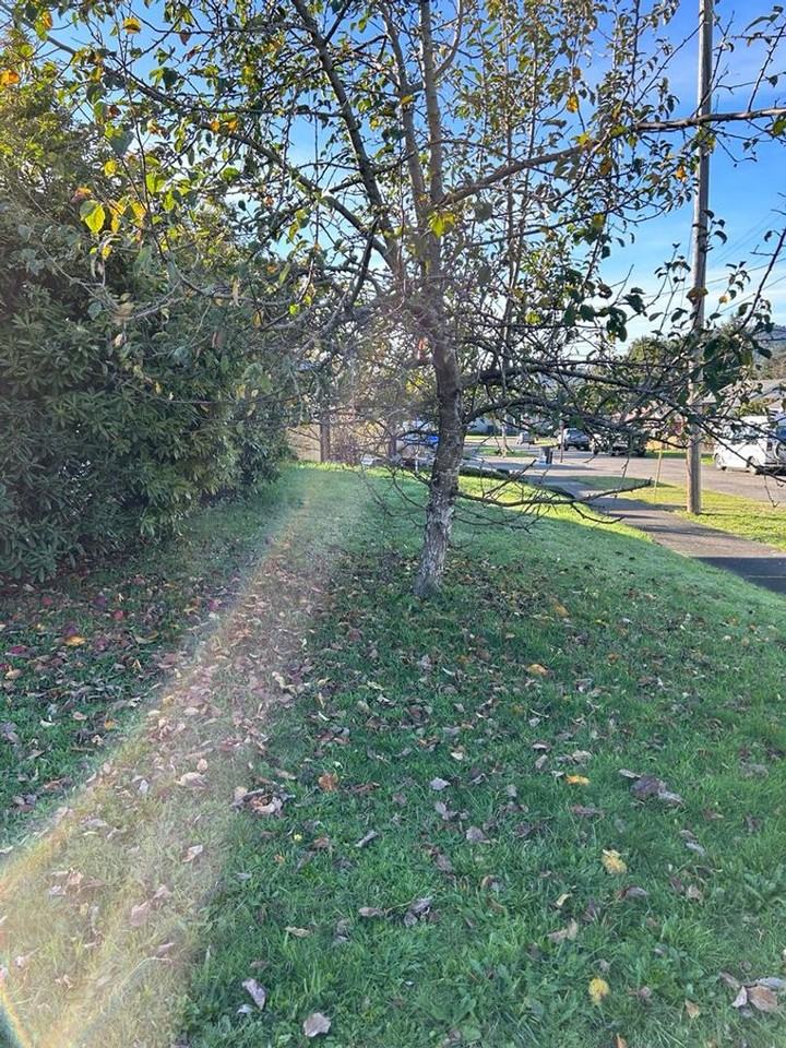 1075 N Folsom St - Photo 3 of 18