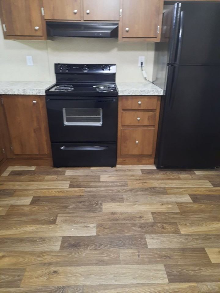 79 Fern Gully Dr - Photo 3 of 11